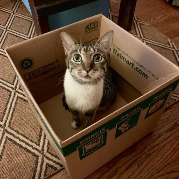 Hey there! I’m Megan 👋 - Picture 5 of 5